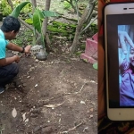 Makam korban dan foto korban semasa hidup.