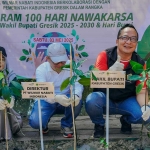 Wabup Gresik, Asluchul Alif (kanan), saat menanam mangrove. Foto: Ist.