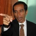 Presiden Joko Widodo. foto: pekanbaru.com 