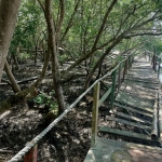 Jembatan di Wisata Mangrove Bancaran, Bangkalan, yang rusak.