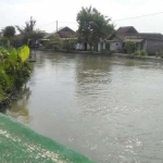Kondisi Jali ketapang yang semakin dangkal membuat warga di sekitarnya menjadi langganan banjir.