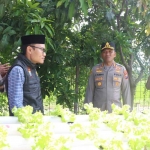 Kapolresta Sidoarjo saat meninjau budidaya pakcoy secara hidroponik.