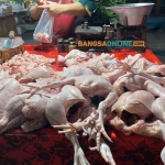 Daging ayam kampung menjadi salah satu komoditas yang mengalami lonjakan drastis hari ini. Foto: Sulthon/Bangsaonline.