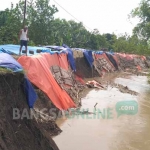 MENGKHAWATIRKAN: Kondisi tanggul Sungai Bengawan Solo di Desa/Kecamatan Kanor terus longsor. Warga tiap malam tak bisa tidur nyenyak. foto: EKY NURHADI/ BANGSAONLINE