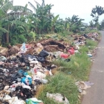 Sampah yang menumpuk di Desa Mulung, Kecamatan Merakurak, Kabupaten Tuban.
