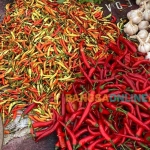 Harga cabai merah besar hari ini turun Rp2.500,00. Simak rincian daftar harga sembako Surabaya hari ini. Foto: Sulthon/Bangsaonline.