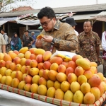 Bupati Kediri Hanindhito Himawan Pramana saat mencicipi mangga podang. Foto: Ist. 