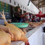 Penjual ayam potong di Pasar Legi Kota Blitar saat melayani pelanggan. foto: AKINA/ BANGSAONLINE