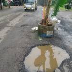 Jalan rusak ditanami pohon pisang di kecamatan Kalitidu Bojonegoro.foto:eky nurhadi