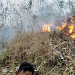 Kondisi hutan yang tengah dilalap api. foto: Julian Tondo/ BANGSAONLINE