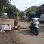 Jalan rusak di Cangkringmalang, Beji, Pasuruan.