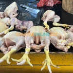 Daging ayam ras menjadi salah satu komoditas yang mengalami penurunan di Surabaya. Foto: Bangsaonline.