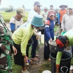 Para petani dibantu TNI melakukan aksi semprotan massal. 