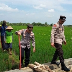 Bhabinkamtibmas Polsek Jogorogo bersama petani lakukan gropyokan tikus, Selasa (10/1/2023)