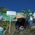 Pj Wali Kota Batu Aries Agung Paewai saat menanam bibit kopi secara simbolis bersama warga Dusun Brau Desa Gunungsari.