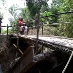 ?Jembatan putus, warga bangun jembatan darurat dari pohon bambu.foto:eky nur hadi/BANGSAONLINE