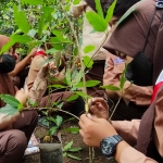 Anggota Saka Wanabakti Kediri saat mempraktikkan cara menyangkok tanaman yang benar. foto: MUJI HARJITA/ BANGSAONLINE