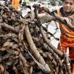 Petugas saat mengambil kulit kabel yang menyumbat drainase di Jalan Medan Merdeka. foto: liputan6