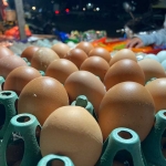 Foto: Bangsaonline.