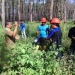 Lahan Perhutani yang akan direboisasi. (foto: sugiyanto/BANGSAONLINE)
