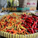 Harga cabai besar dan keriting di Bali alami lonjakan tertinggi dibanding bahan pokok lain. Foto: Sulthon/Bangsaonline.