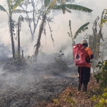 Para petugas BPBD Kabupaten Jember sedang berusaha menjinakkan api menggunakan water spray.