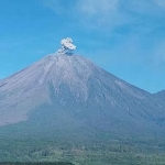 Gunung Semeru saat erupsi, dan tercatat erupsi sebanyak 7 kali pada Selasa (4/2/2026). Foto: Ist.