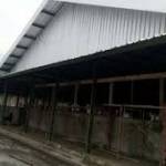 DIBIDIK: Proyek pembangunan pasar Sukodono.