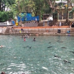 Pemandangan Wisata Air Pemandian Bektiharjo terlihat lengang meskipun pada hari libur.