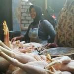 Salah satu pedagang daging ayam di Lamongan. (haris/BANGSAONLINE)