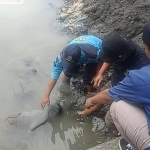 Petugas gabungan saat melakukan evakuasi jasad bocah yang ditemukan tak bernyawa di Kalimas