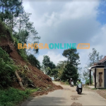 Salah satu lokasi tebing longsor di jalan menuju ke kawasan wisata Besuki dan sebaliknya. (FOTO: Muji Harjita)