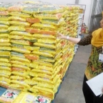 AMAN HINGGA LEBARAN: Wakil Kepala Bulog Sub Divre Surabaya Utara, Irlia Dwiputri, menunjukkan stok beras di gudang bulog, di Buduran Sidoarjo, Kamis (18/5). foto: mustain/ BANGSAONLINE