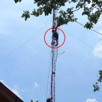 Proses evakuasi teknisi antena oleh petugas BPBD Sidoarjo, Minggu (15/1/2023)