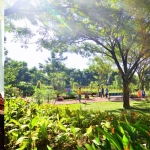 Warga menikmati kesegaran udara sembari berolahraga di Taman Harmoni.
