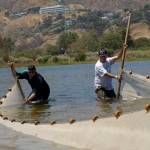 Nelayan menggunakan Seine Net untuk menangkap ikan. foto: ilustrasi/national geographic