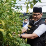 Pj. Wali Kota Batu Aries Agung Paewai saat mencanangkan gerakan P2L di Jl. Lahor, Desa Pesanggrahan, Kota Batu, Jumat (31/3/2023).