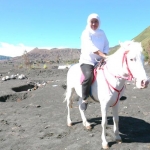 Gubernur Jawa Timur Khofifah Indar Parawansa saat kawasan wisata alam Bromo. foto: ist/ bangsaonline.com