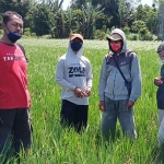 Dari kiri, Joko Supriadi (POPT Kecamatan Tarokan), Agus Suprapto (petani), Nurul Huda (Koordinator PPL Kecamatan Tarokan), dan Riono Yekti Wibowo (Koordinator POPT Kabupaten Kediri). foto: MUJI HARJITA/ BANGSAONLINE