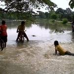 BANJIR: Anak-anak kecil memanfaatkan datangnya air banjir. Namun akibat banjir, puluhan hektare persawahan yang ditanami padi di Desa Beged, Bojonegoro terendam dan terancam mati. Foto: Eky Nurhadi/BangsaOnline.