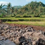 Kondisi tangkis sungai di Desa Rajekwesi, Kecamatan Kendit, Situbondo.