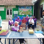 Peserta pelatihan juga difasilitasi untuk mempraktikkan berkebun hidroponik. (foto: ist)