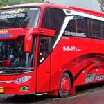 Bus model SHD milik Imma Trans & Travel yang berhasil digondol kawanan maling.