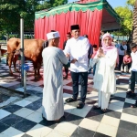 Kapolda Jatim saat memberikan sumbangan hewan qurban ke beberapa yayasan.