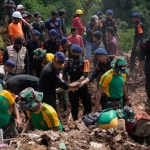 Tim SAR melakukan pencarian korban tanah longsor yang dipicu gempa di Cianjur, Jawa Barat. Foto: AP Photo/Tatan Syuflana
