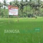 Lahan pertanian di jalan Ciliwung kelurahan Tanggung kota Blitar yang rencananya bakal digunakan untuk tempat relokasi SMPN 3 dipasangi spanduk protes dari warga. foto: AKINA/ BANGSAONLINE