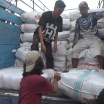Distribusi bantuan untuk korban bencana gempa Lombok dari Ponpes Tebuireng. foto: RONY S/ BANGSAONLINE