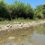 Kondisi sungai Bengawan Solo saat bencana kekeringan. Foto: Ist.