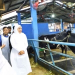 Gubernur Khofifah saat melakukan peninjauan ke KPSP Nongkojajar, Kabupaten Pasuruan.