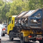 Truk sampah DLH Gresik yang kondisi baknya lubang-lubang. (foto: SYUHUD/ BANGSAONLINE)